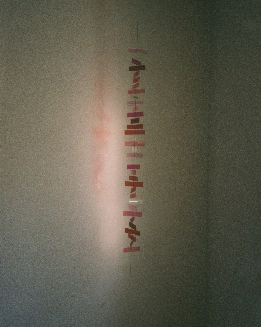 Rød